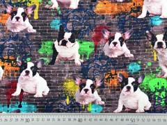 Jersey Hunde Mauer Graffiti Digitaldruck, bunt braun