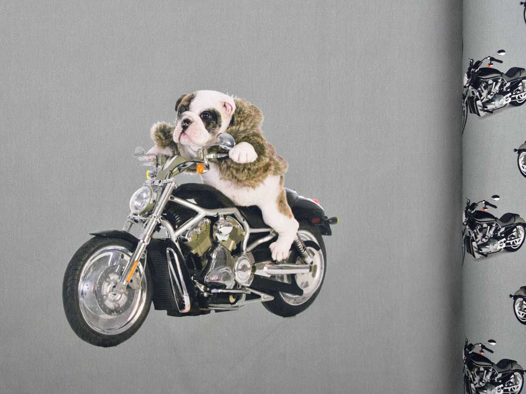 Jersey Stenzo Panel 2 in 1 Motorrad Hund grau Wunderland der Stoffe